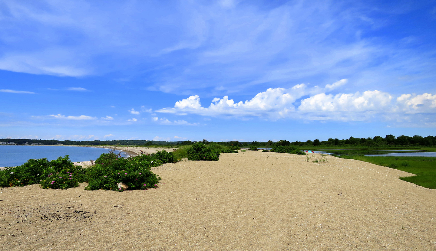 bluff-point-state-park