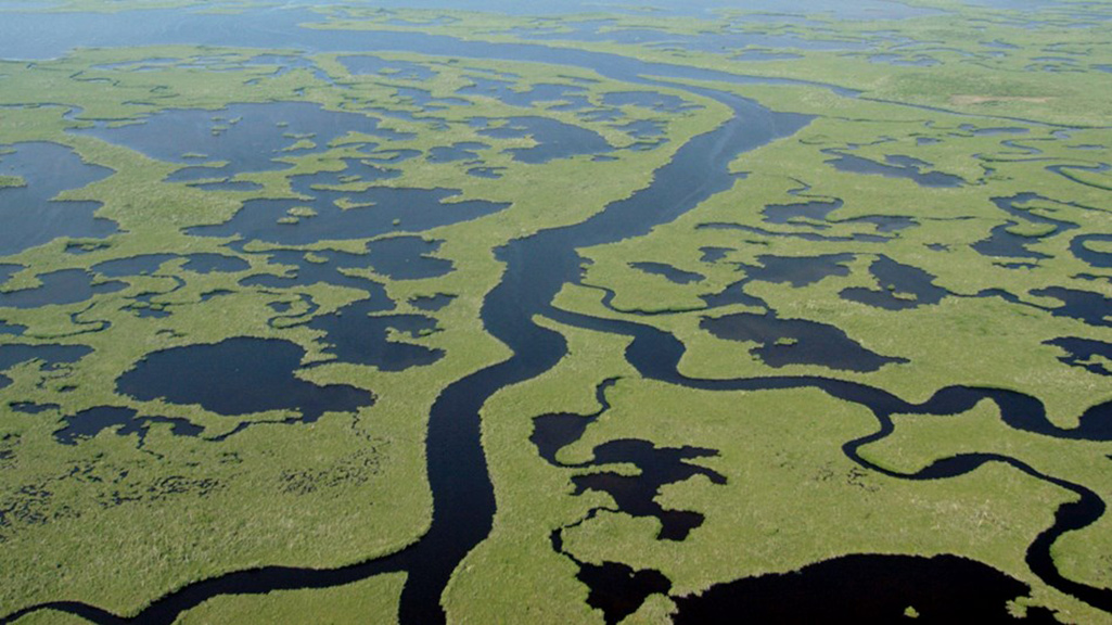Comprehensive Everglades Restoration Plan